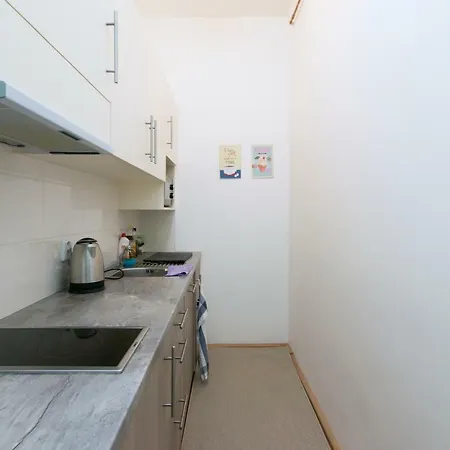 Apartment Krakovska - Wenceslas Square *